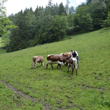 Panoramapension Lerchner Bad Kleinkirchheim Ngoại thất bức ảnh
