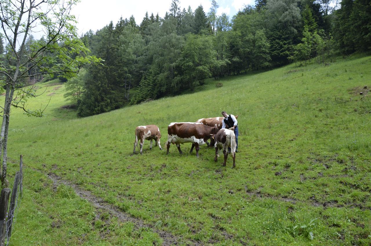 Panoramapension Lerchner Bad Kleinkirchheim Ngoại thất bức ảnh